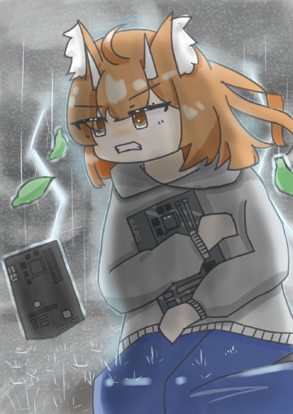 【日記】私はカヌーンを忘れないぞ！