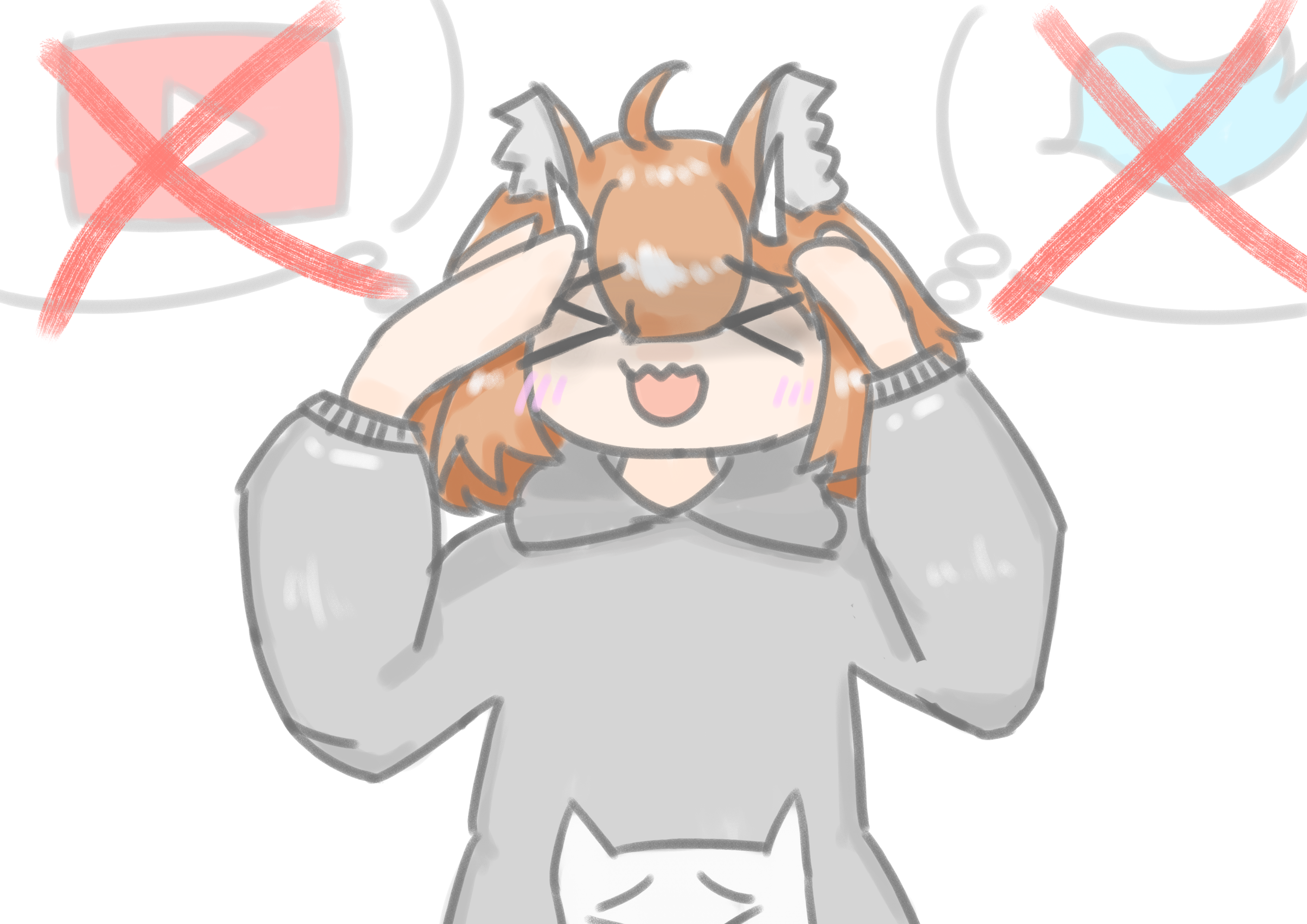 【日記】絶対的なyoutubeとtwitterの我慢をやろう