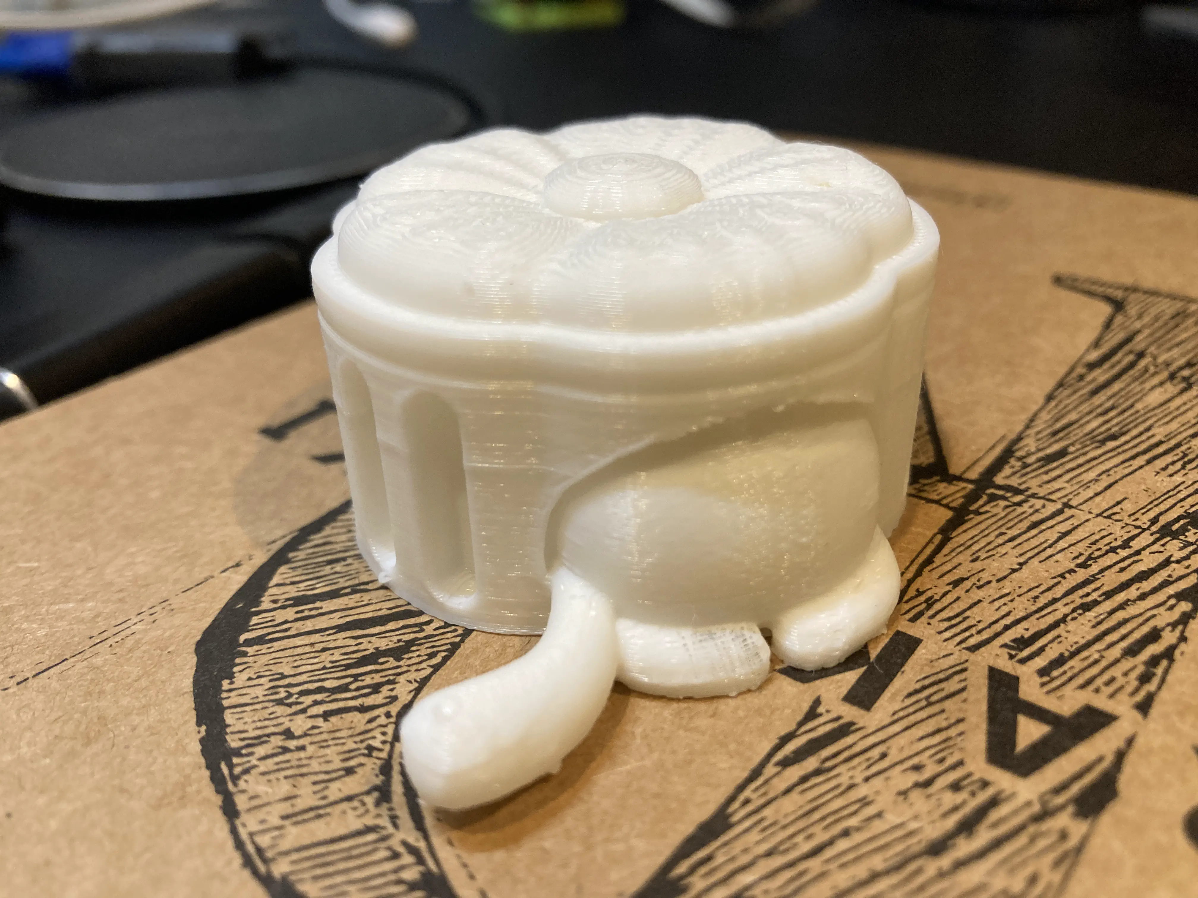 3Dプリントされたルアン・メェイの創造物