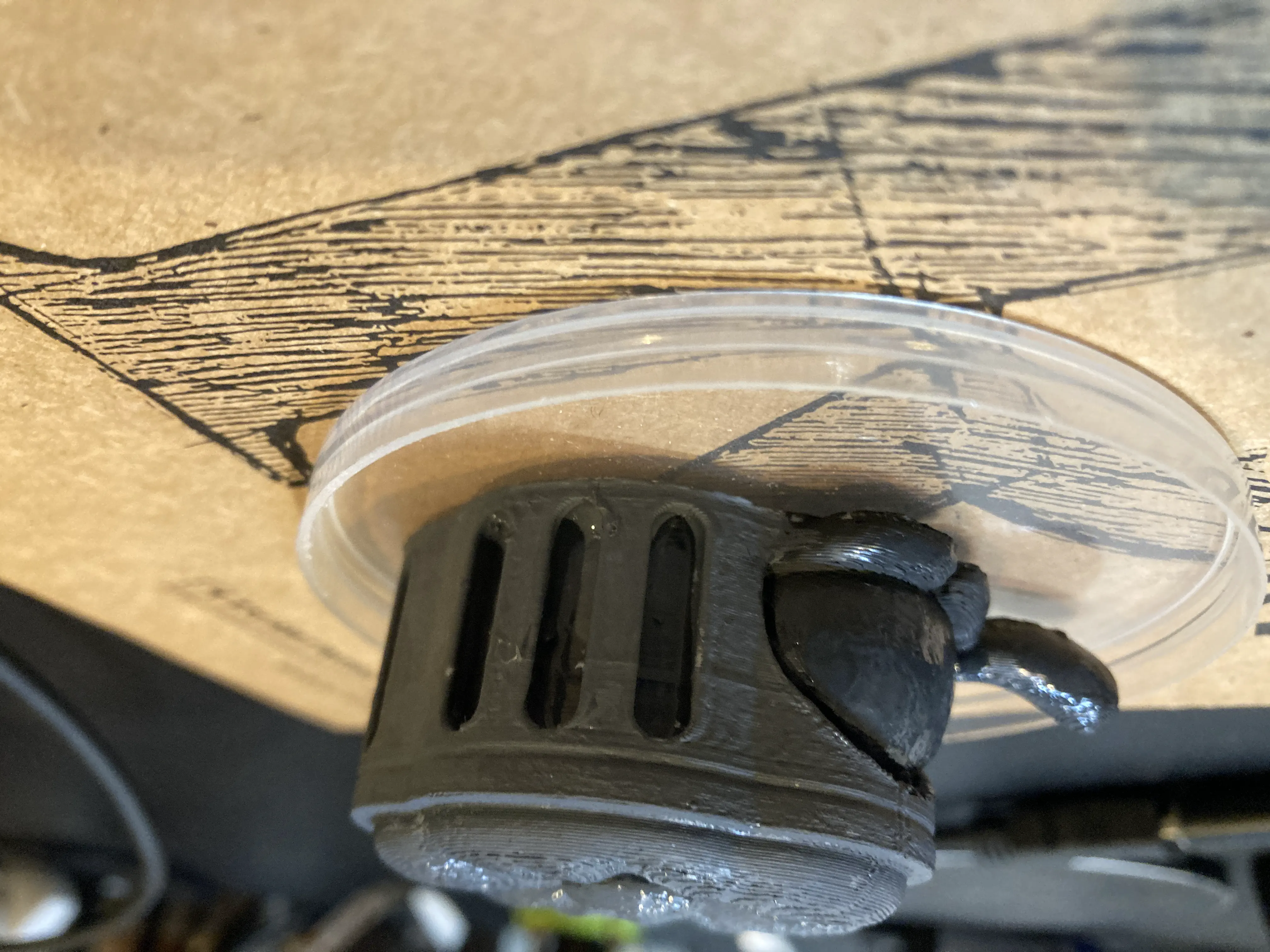 ポスターカラーで色塗り後2