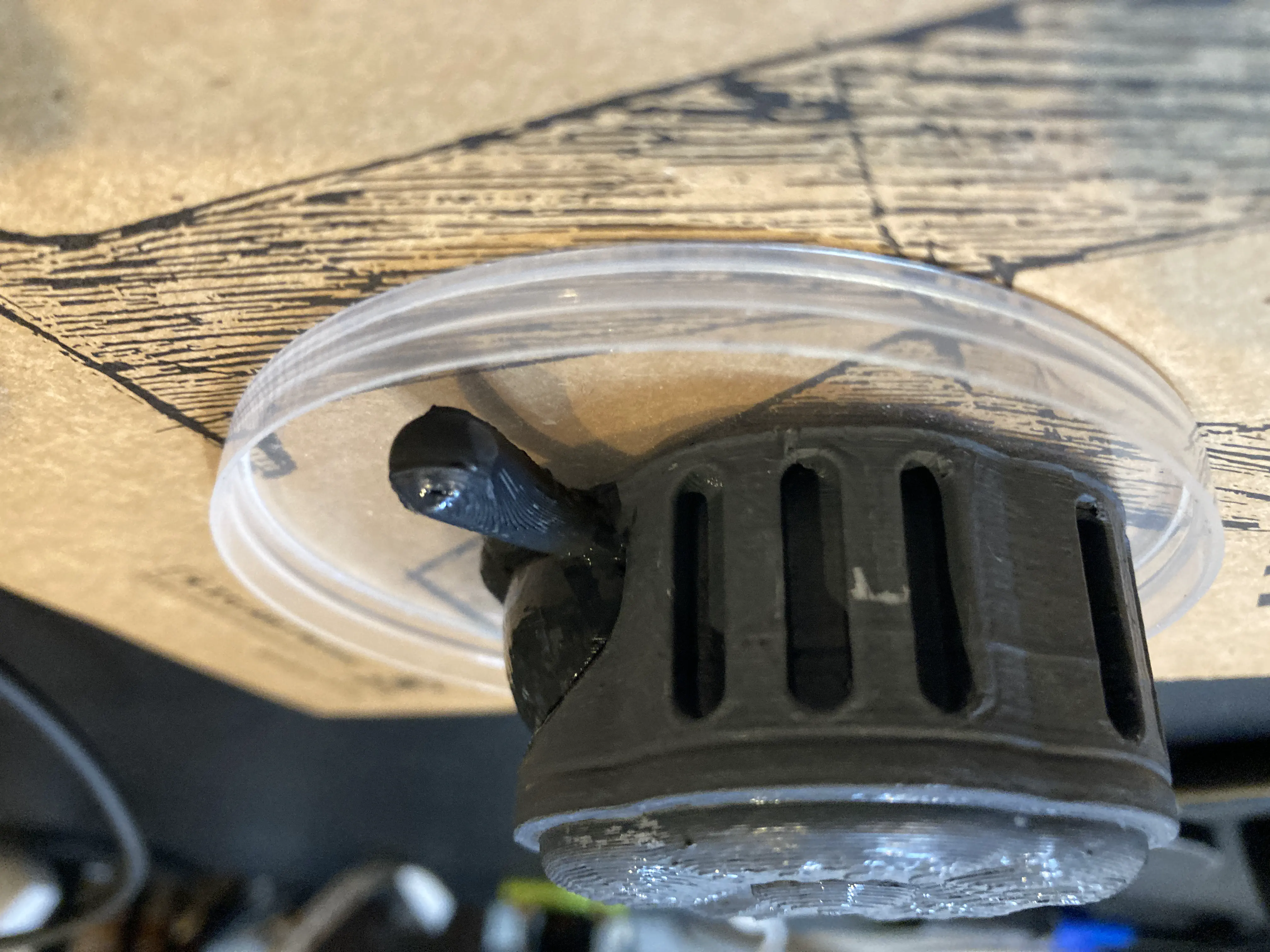 ポスターカラーで色塗り後3