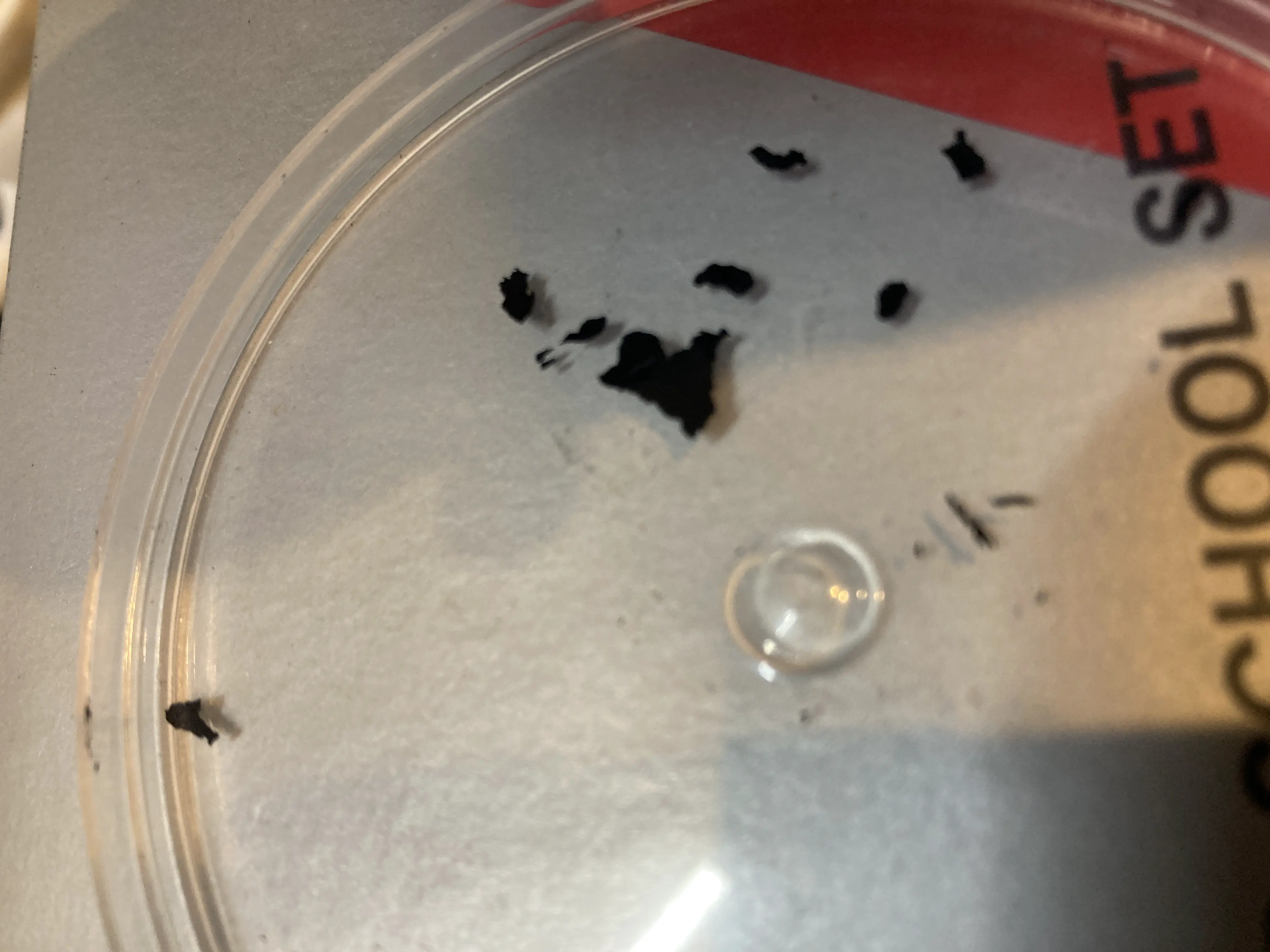 底面の色剥がれ