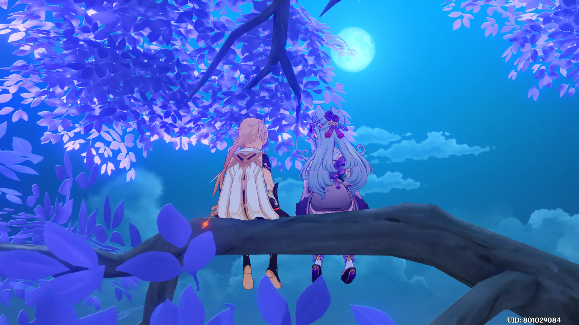 木の上に座る瑞希と旅人