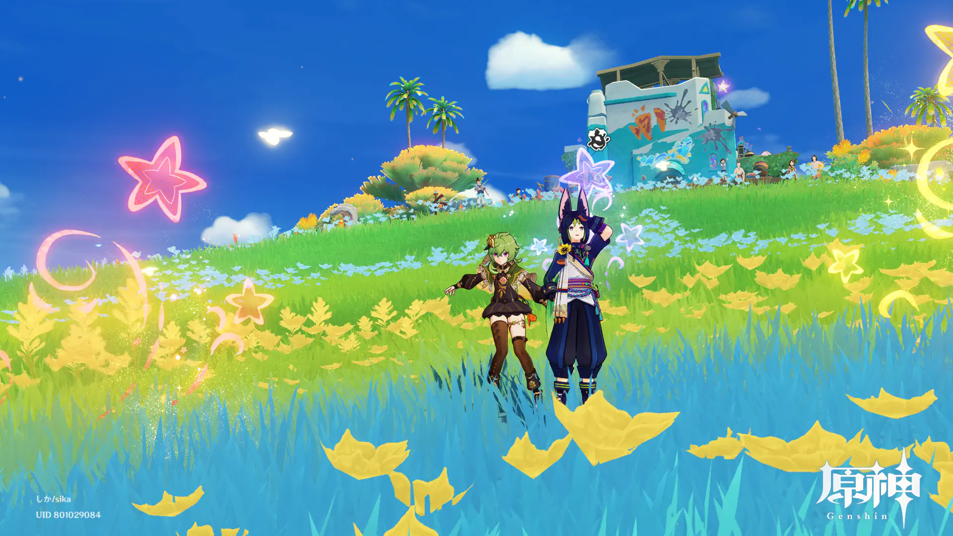 空を見るティナリ